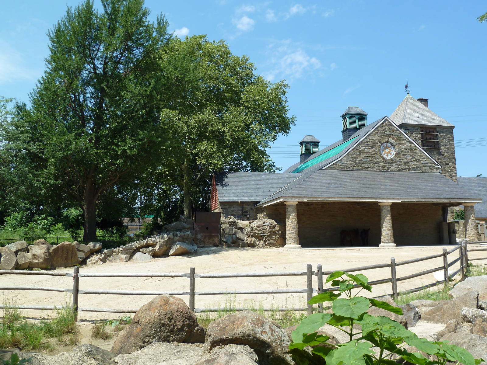Poitou Donkey Exhibit (Old Elephant Enclosure)
