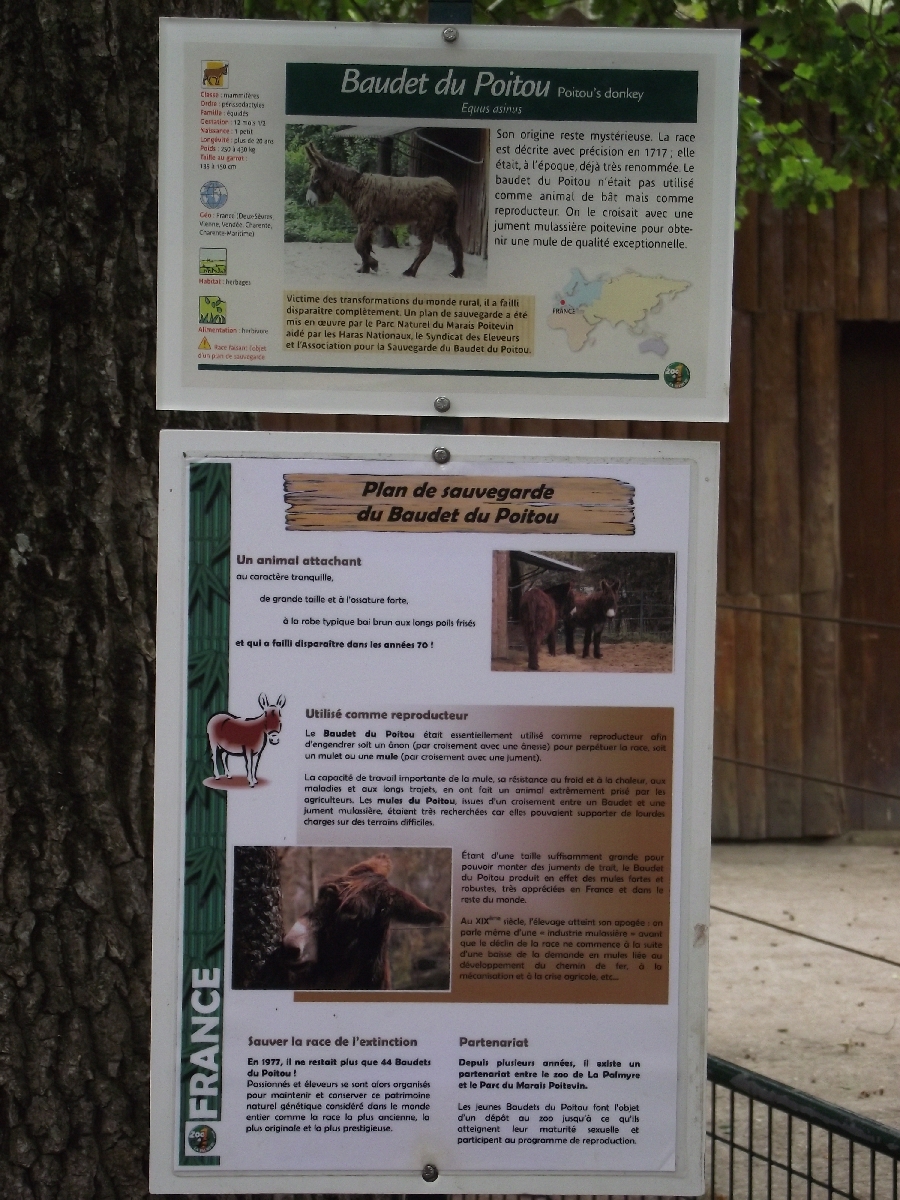 Poitou Donkey Signage