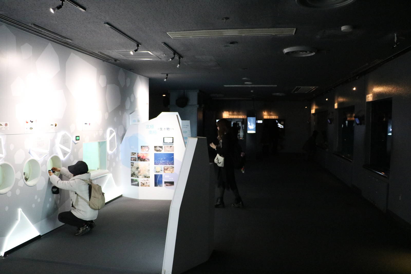 Polar and deep sea tanks - Tokyo Sea Life Park, February 2016