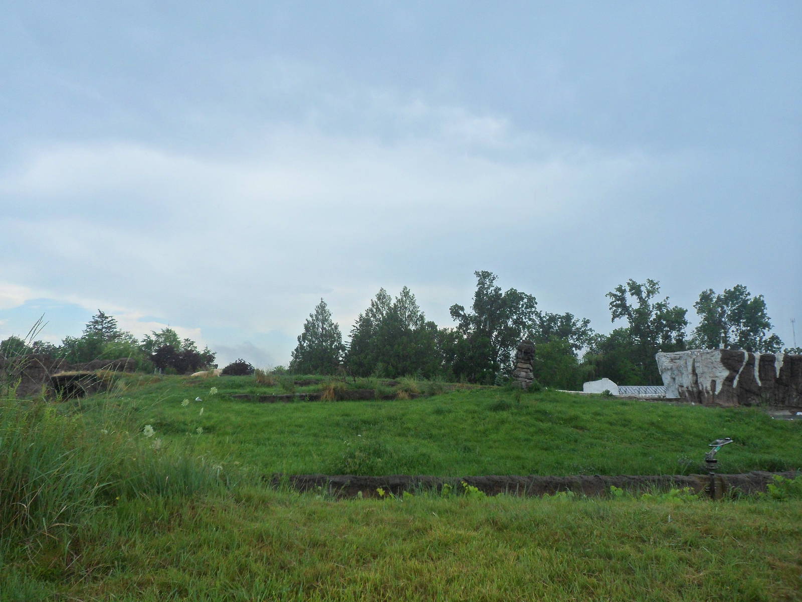 Polar Bear 1st Exhibit