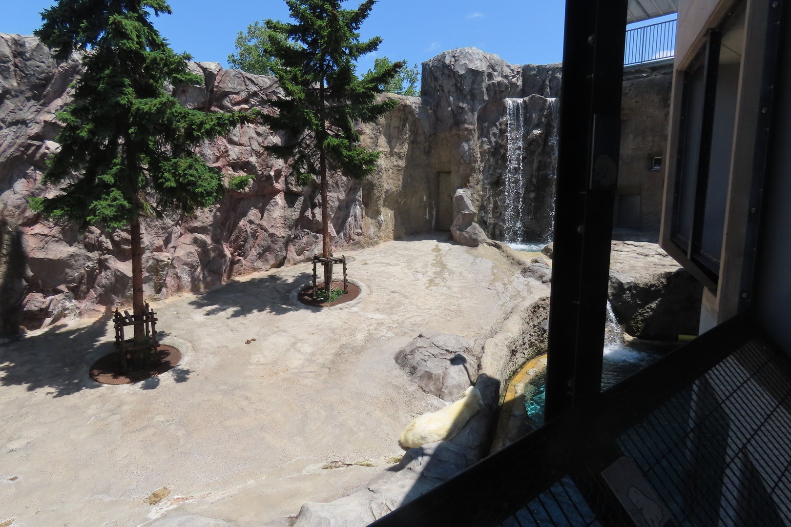 Polar bear 2nd exhibit