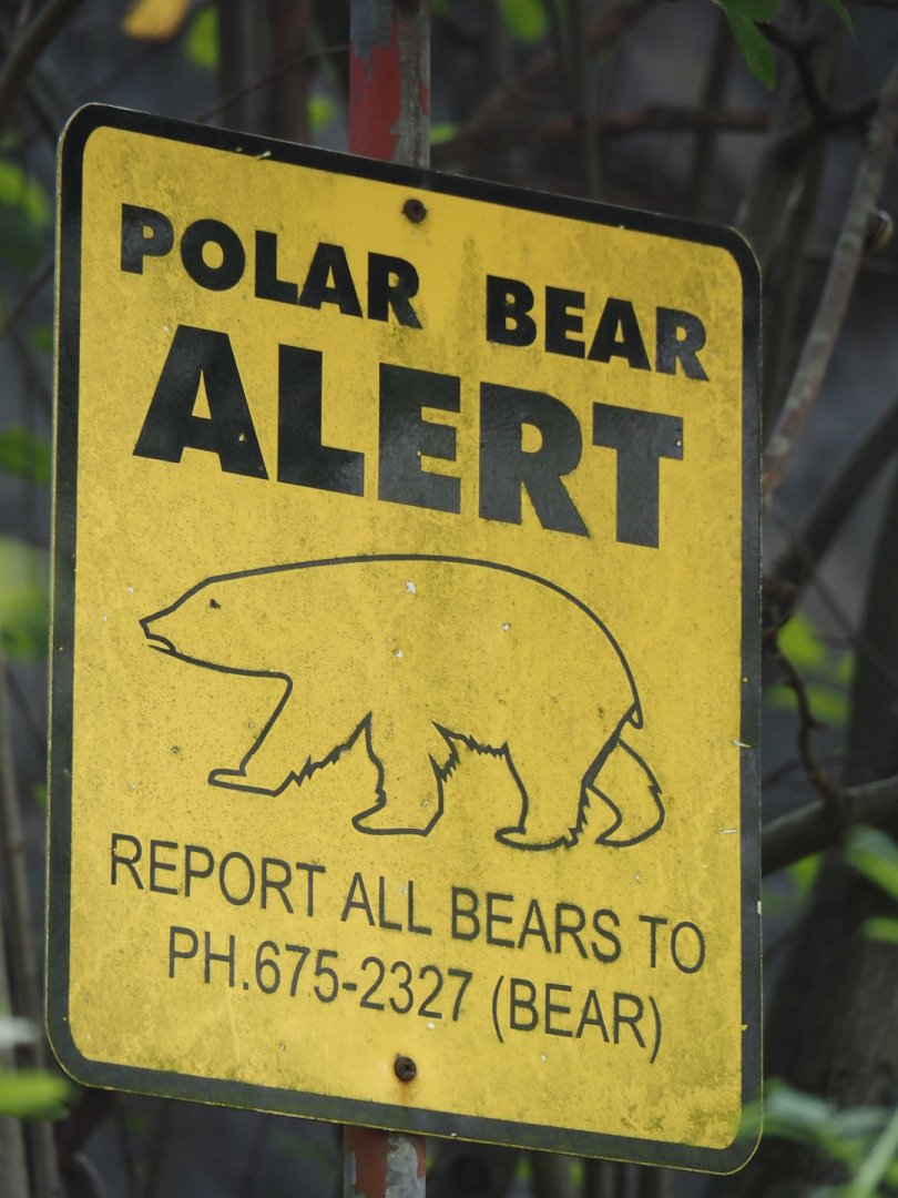 Polar bear alert sign, 2024-08-05