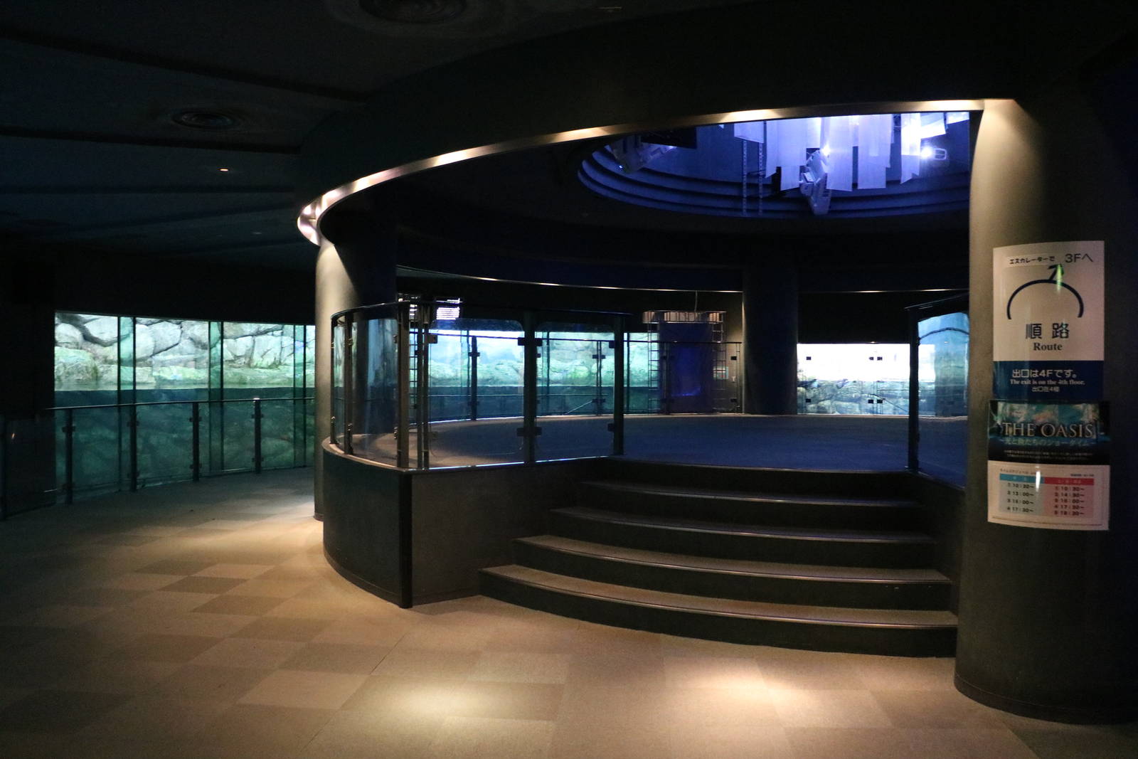 Polar bear and walrus gallery, February 2016