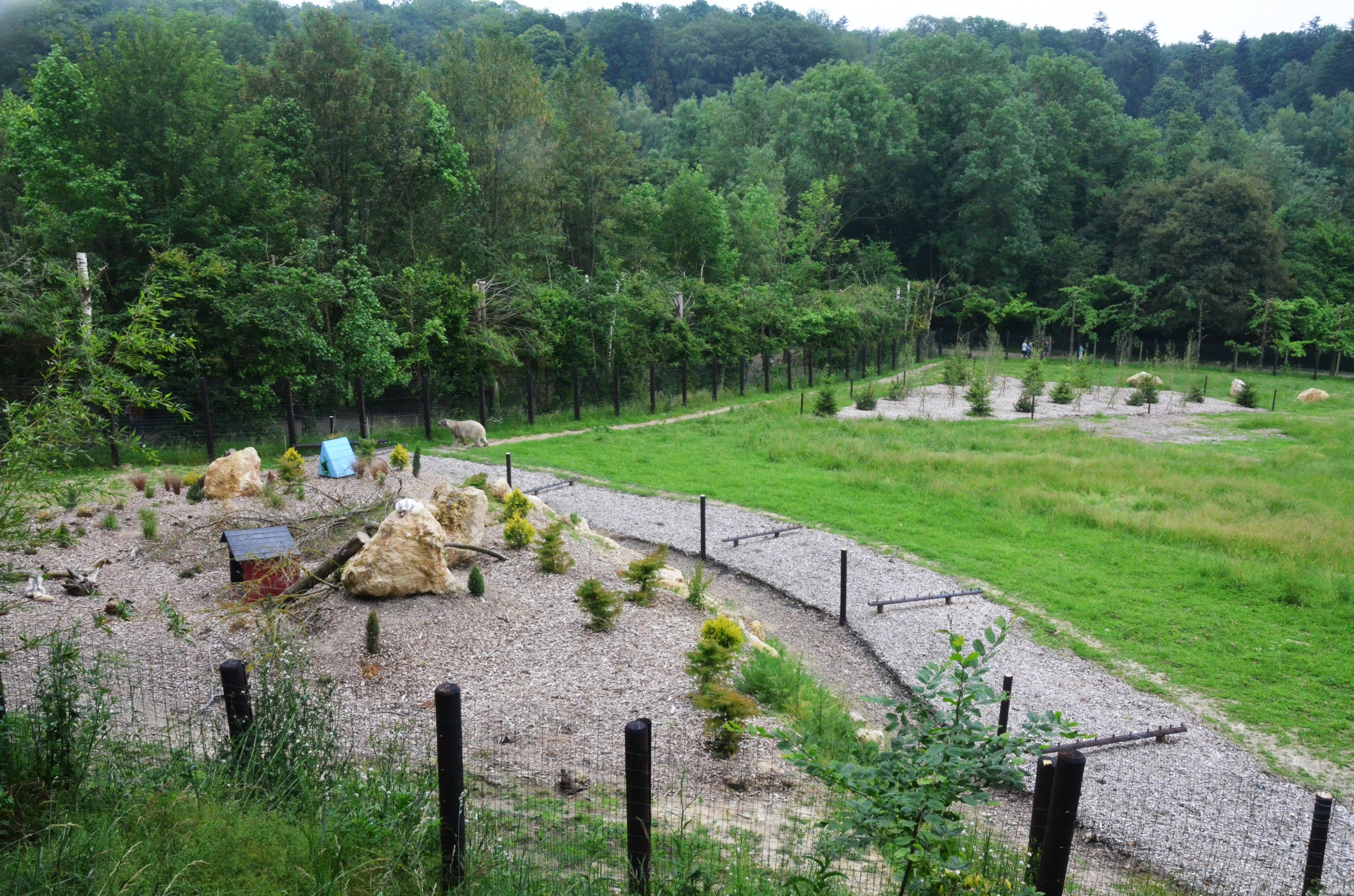 Polar Bear/Arctic Fox Complex at CERZA, 10/06/18