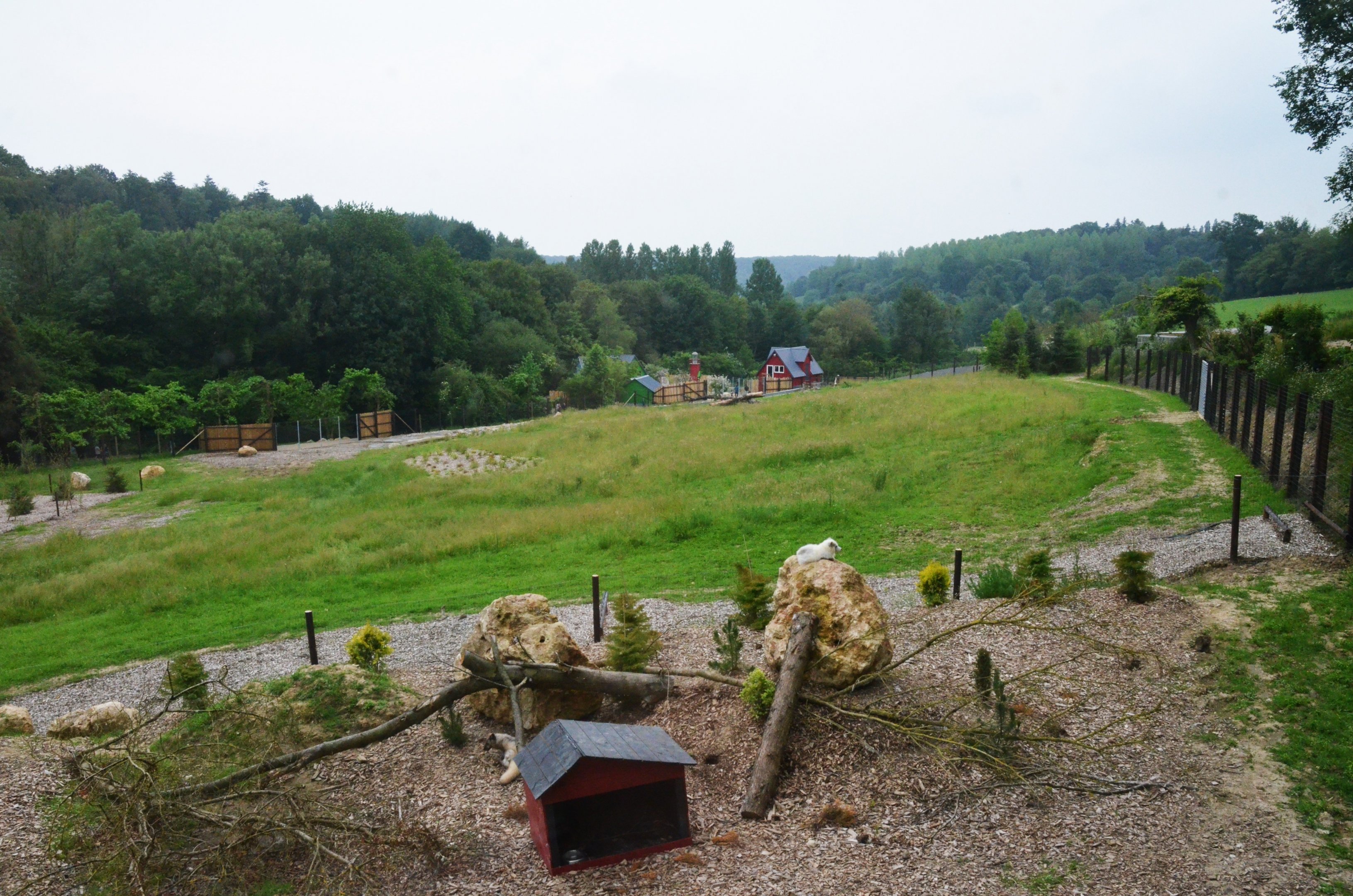 Polar Bear/Arctic Fox Complex at CERZA, 10/06/18