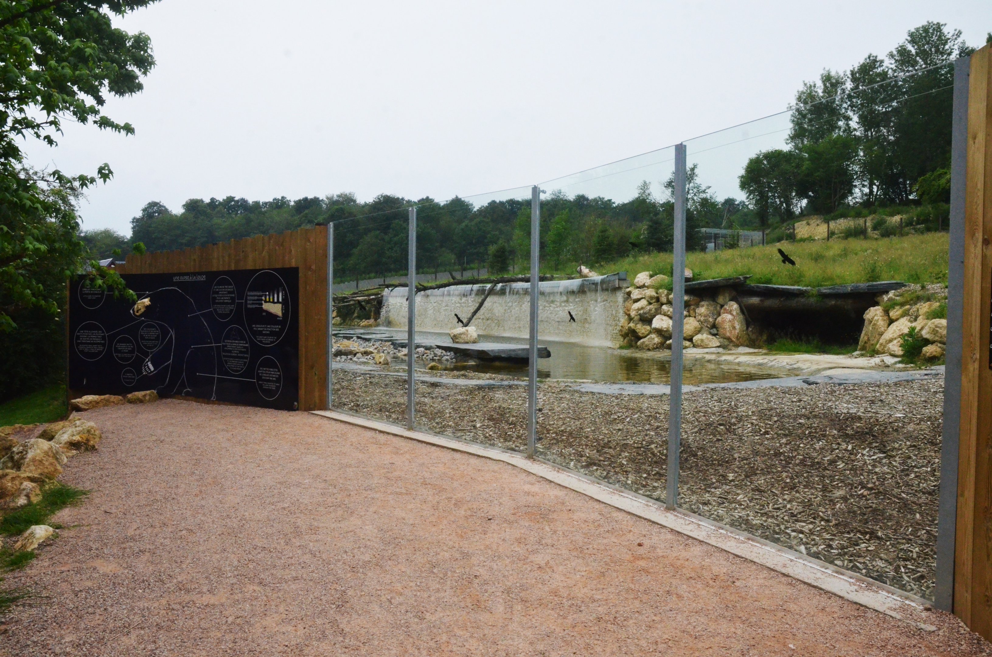 Polar Bear/Arctic Fox Complex at CERZA, 10/06/18