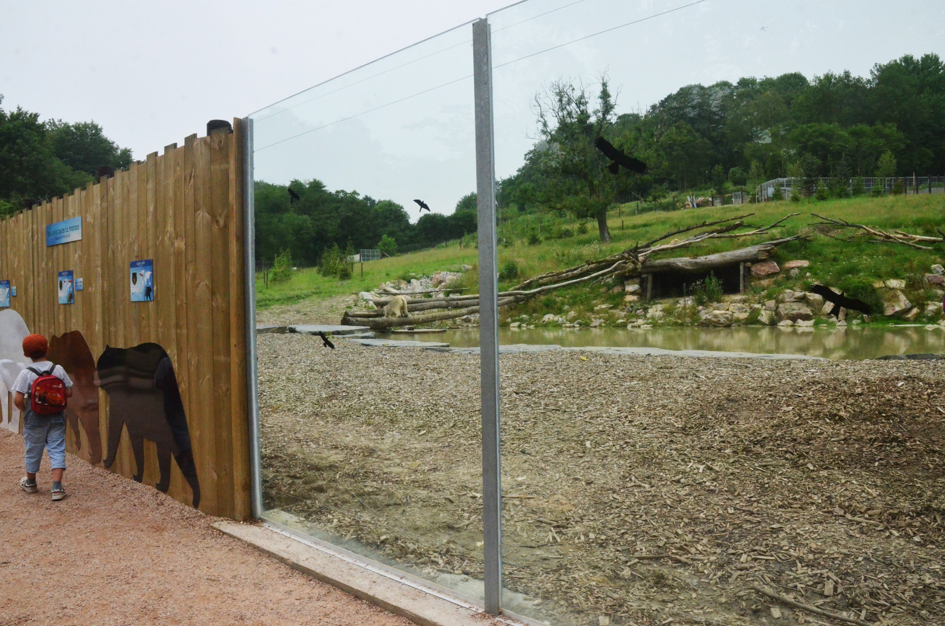 Polar Bear/Arctic Fox Complex at CERZA, 10/06/18