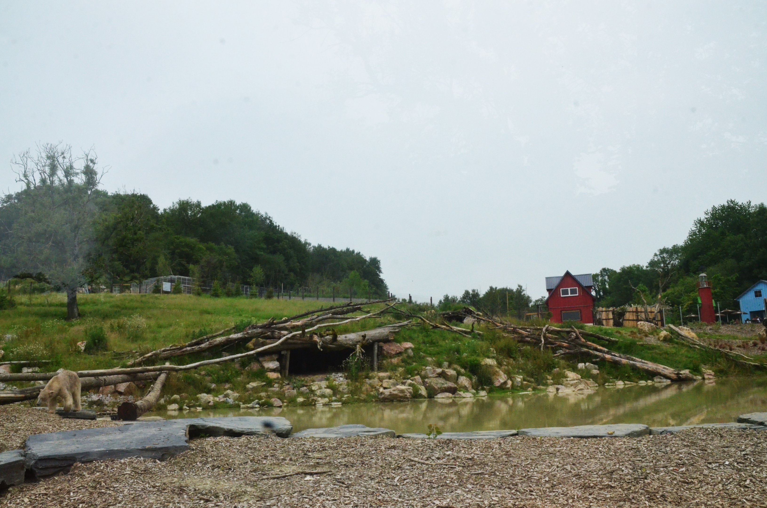 Polar Bear/Arctic Fox Complex at CERZA, 10/06/18
