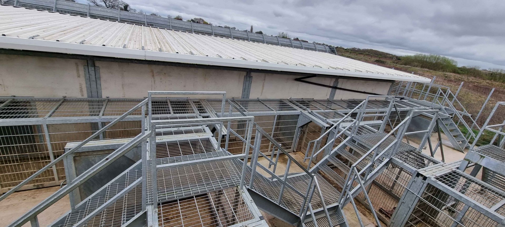 Polar Bear Backstage