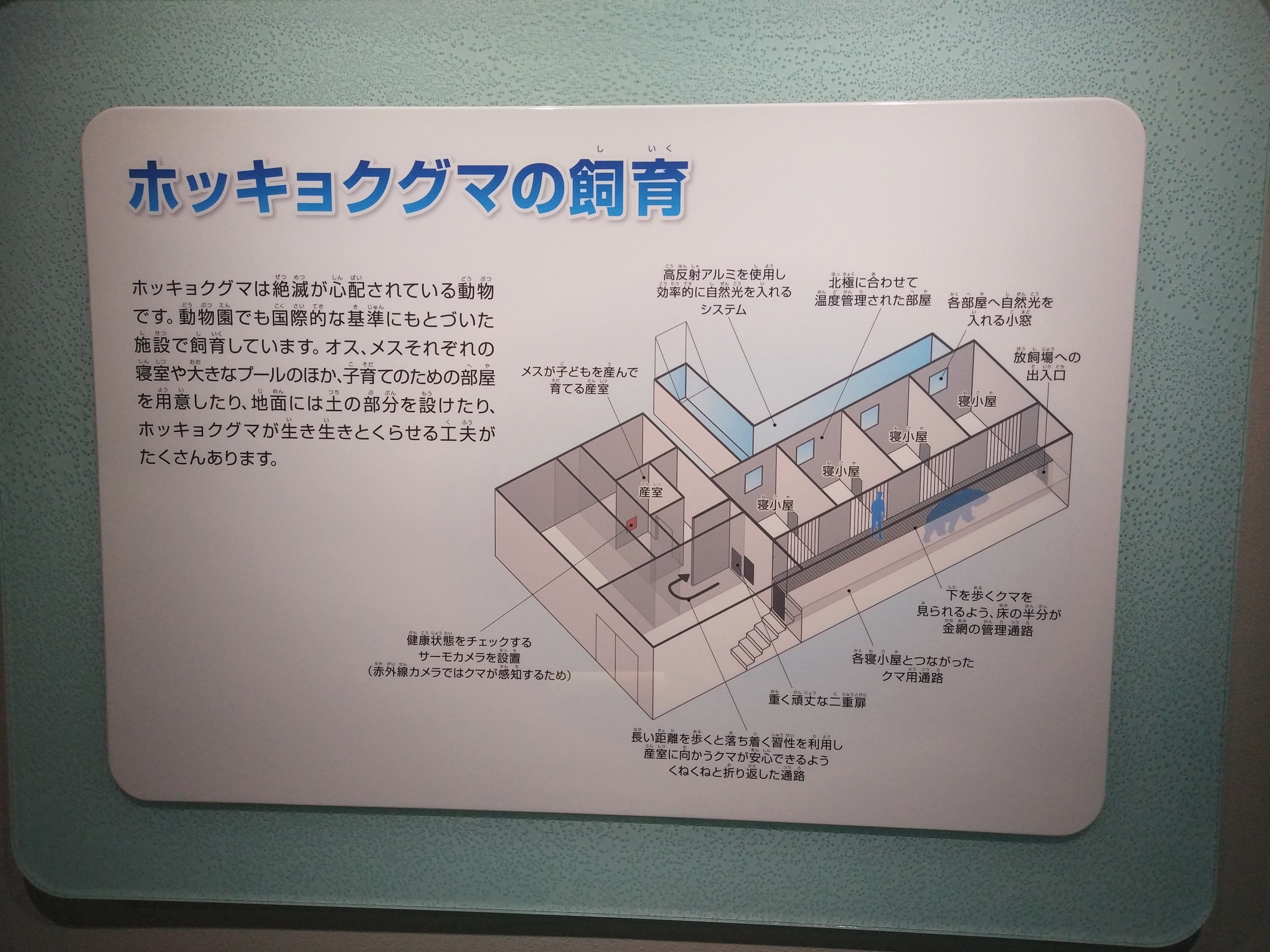 Polar Bear Building Signage