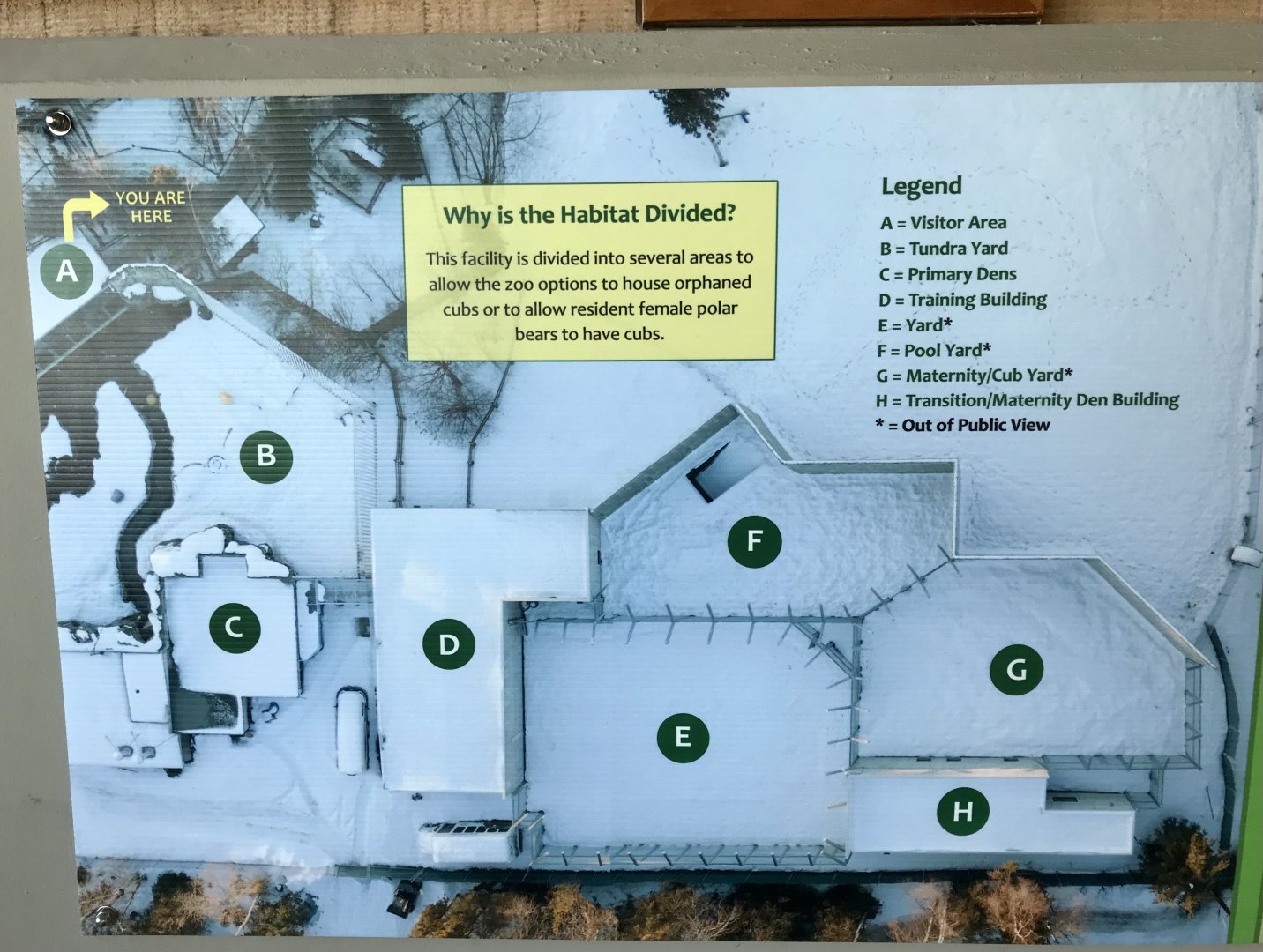 Polar Bear Complex layout