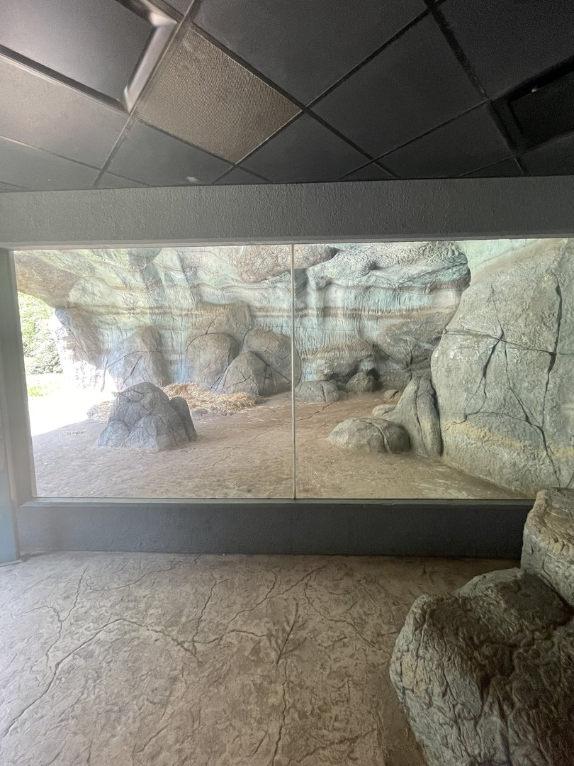 Polar Bear Den (No Show)