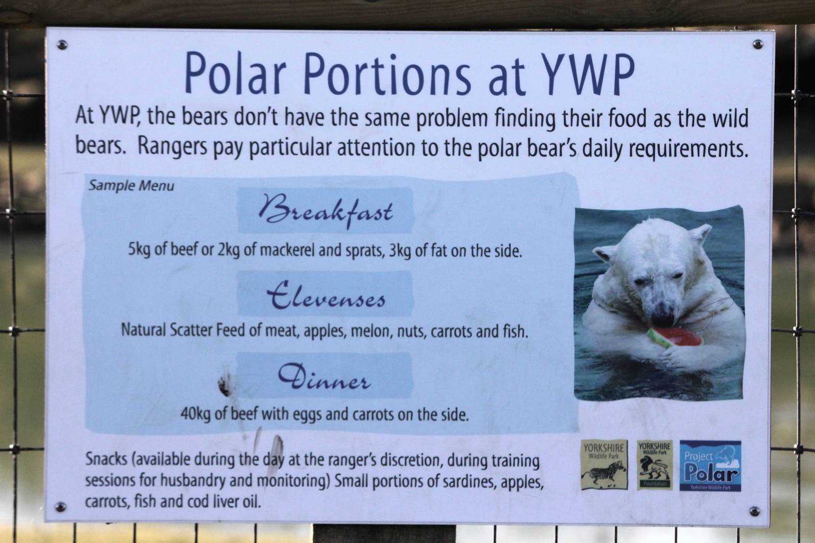 Polar bear diet sign. 8-2-15