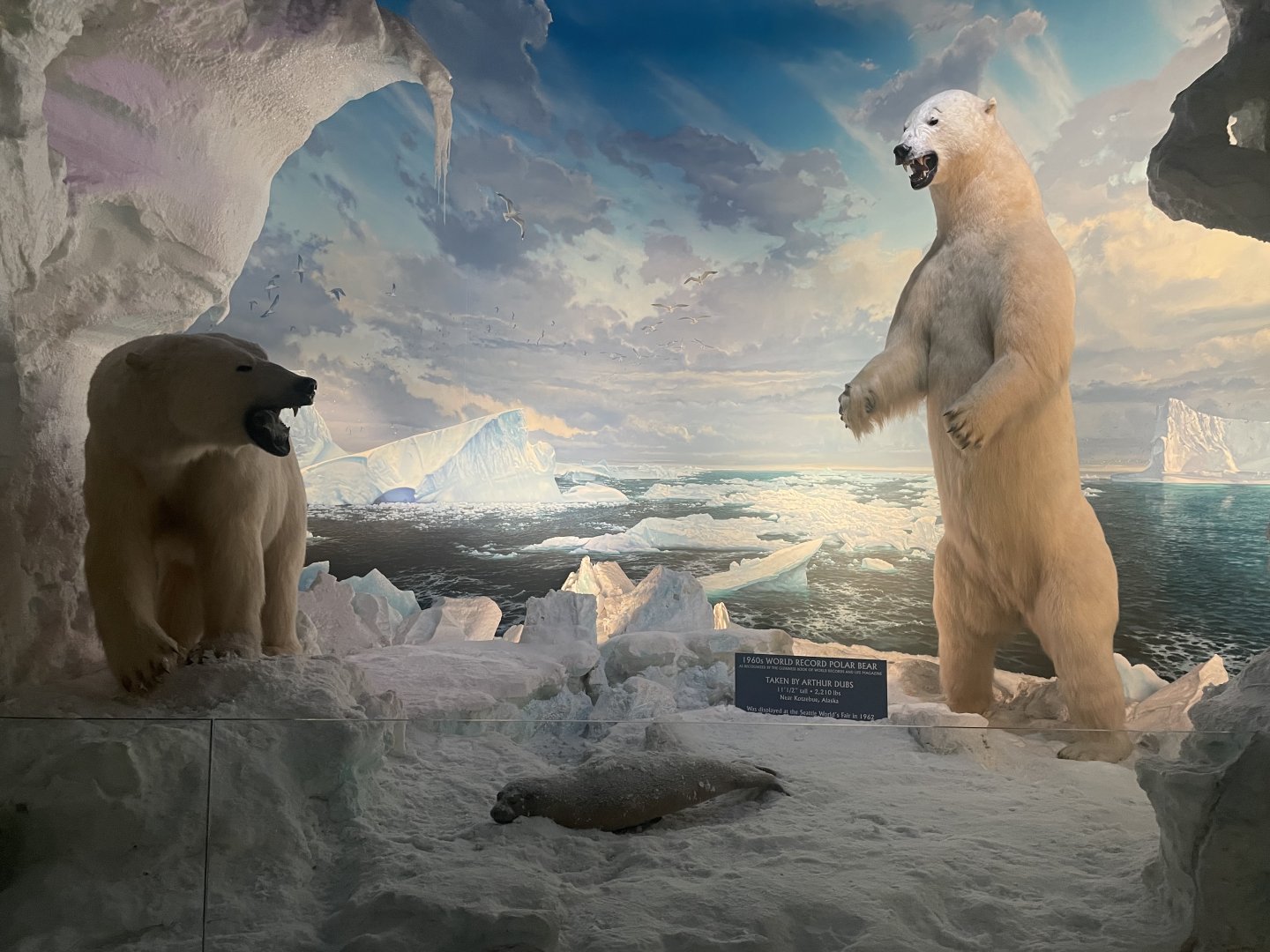 Polar Bear Diorama