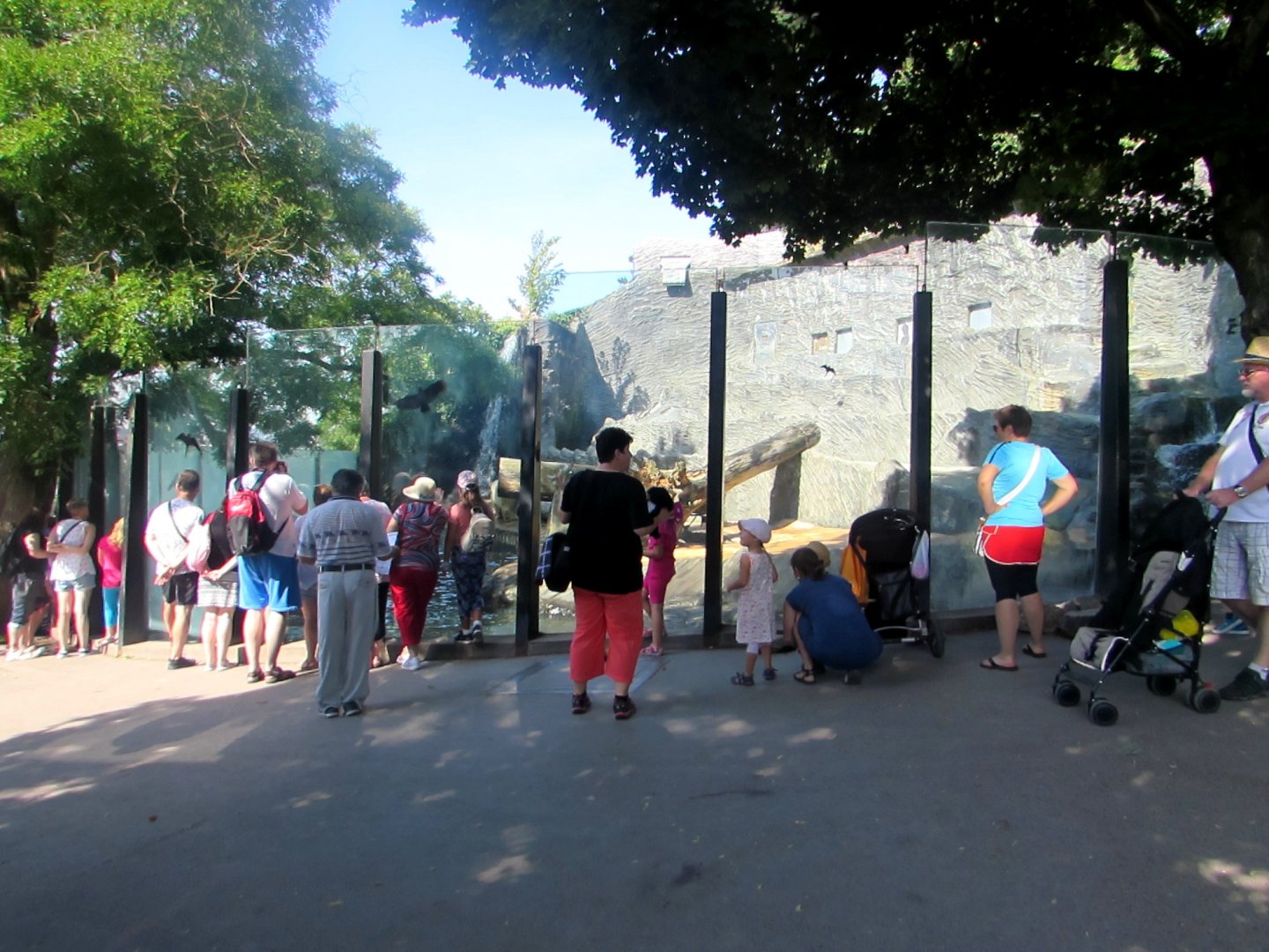 Polar Bear enclosure (1) - July/2017