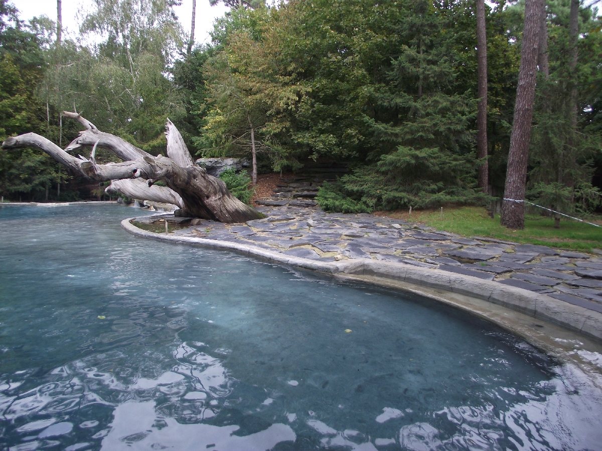 Polar Bear Enclosure #1