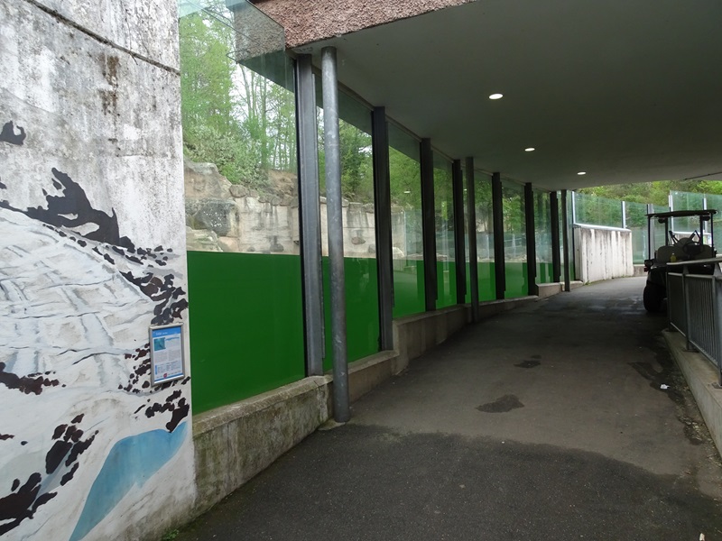 Polar bear enclosure #1