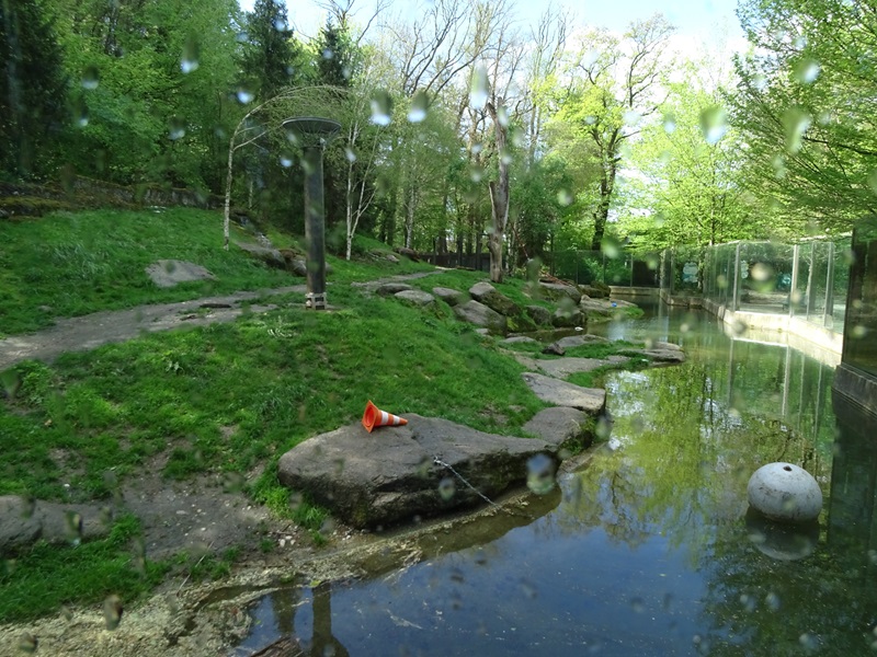 Polar bear enclosure #1