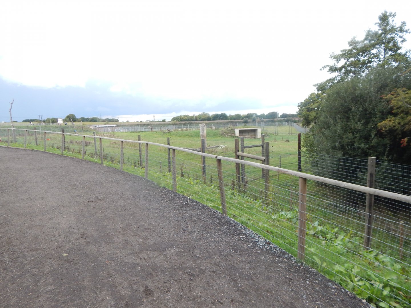 Polar bear enclosure 130925