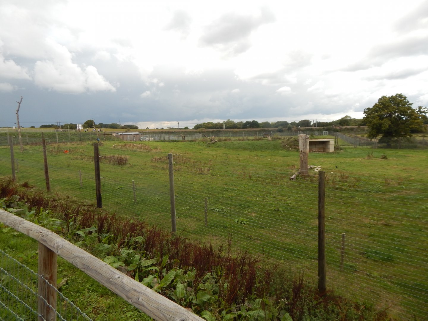 Polar bear enclosure 130925