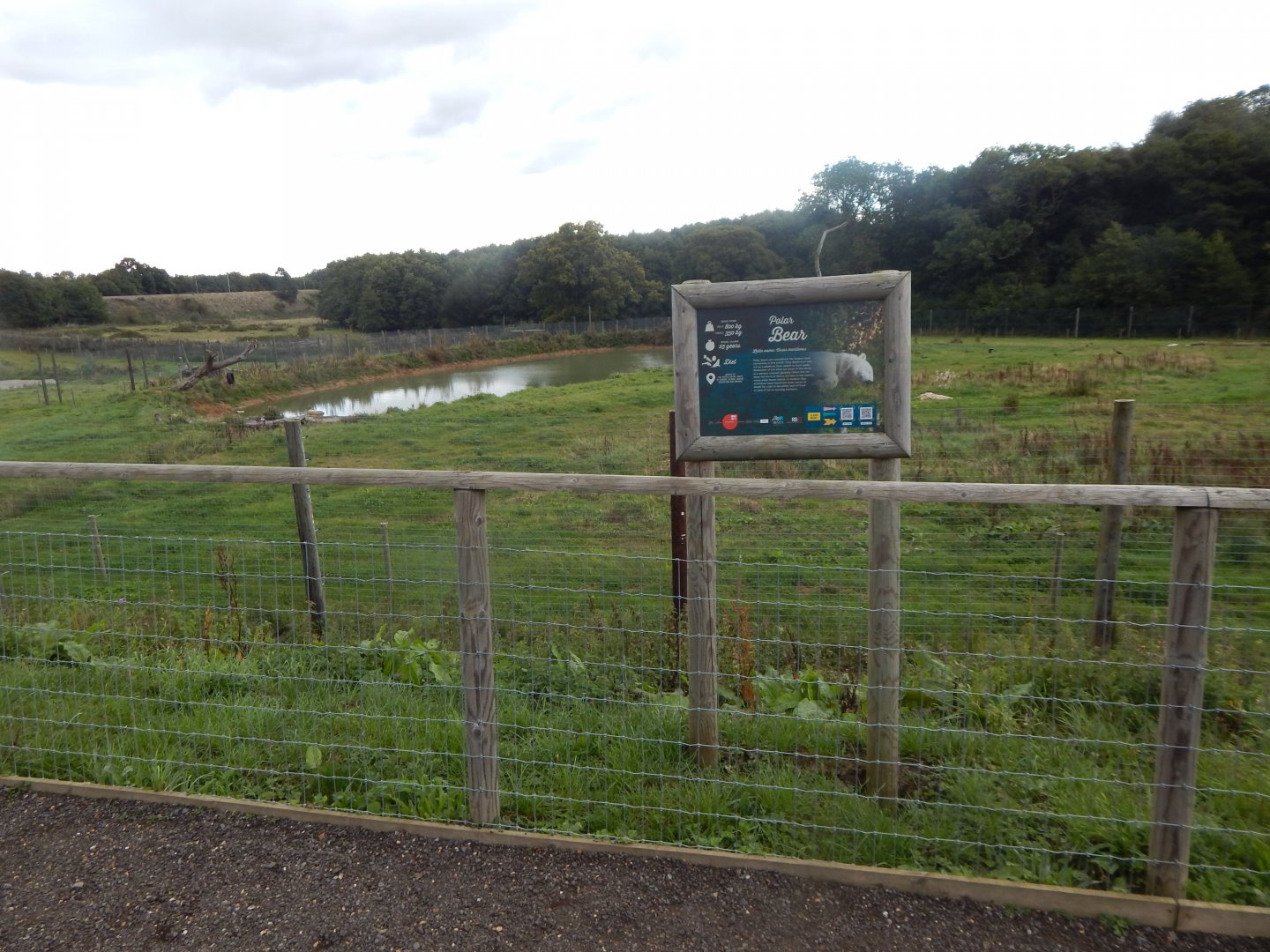 Polar bear enclosure 130925