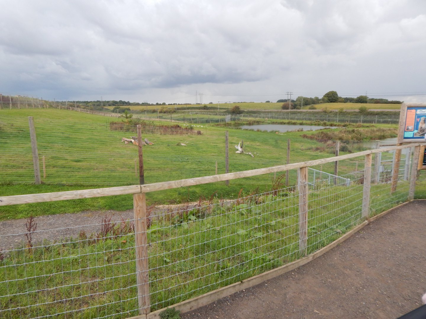 Polar bear enclosure 130925