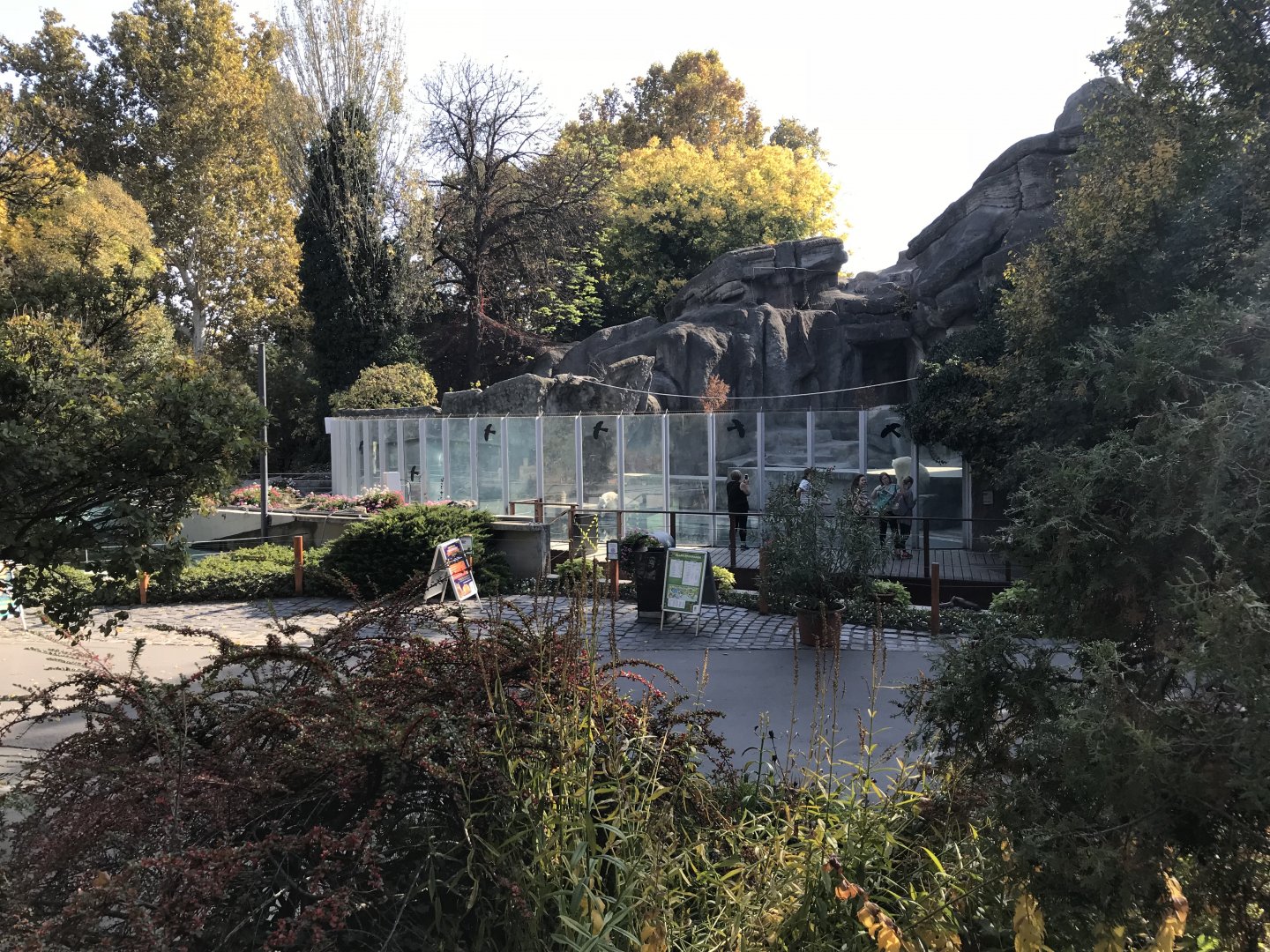 Polar bear enclosure 171018