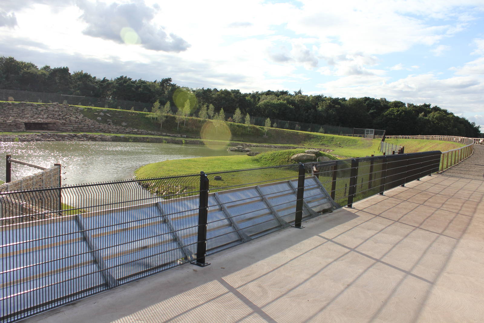 Polar Bear enclosure 19-8-14