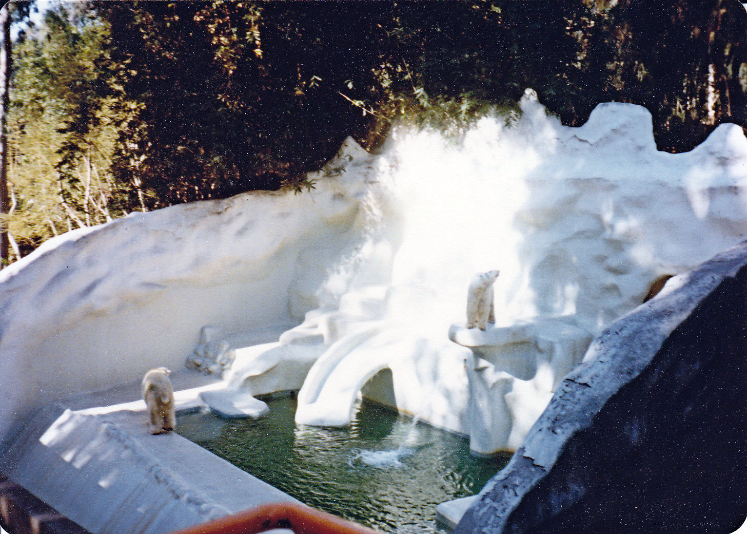 Polar Bear enclosure - 1981