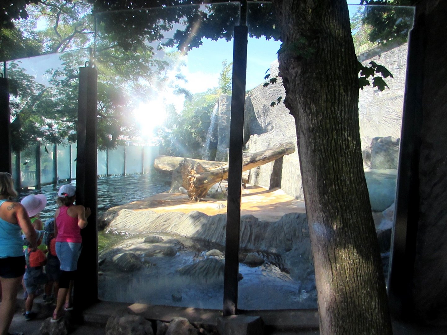 Polar Bear enclosure (2) - July/2017