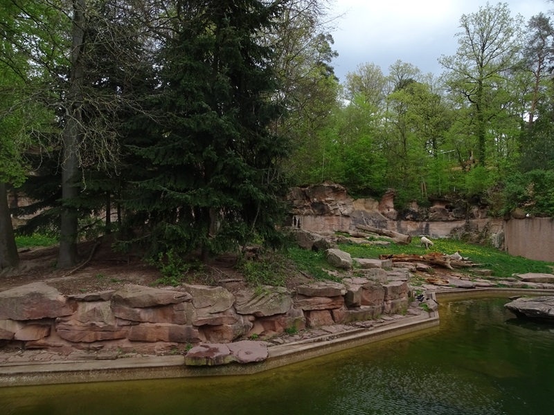 Polar bear enclosure #2