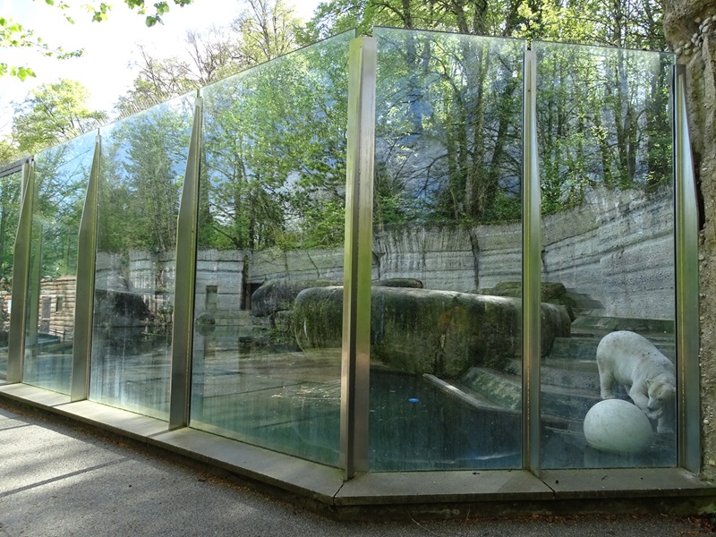 Polar bear enclosure #2