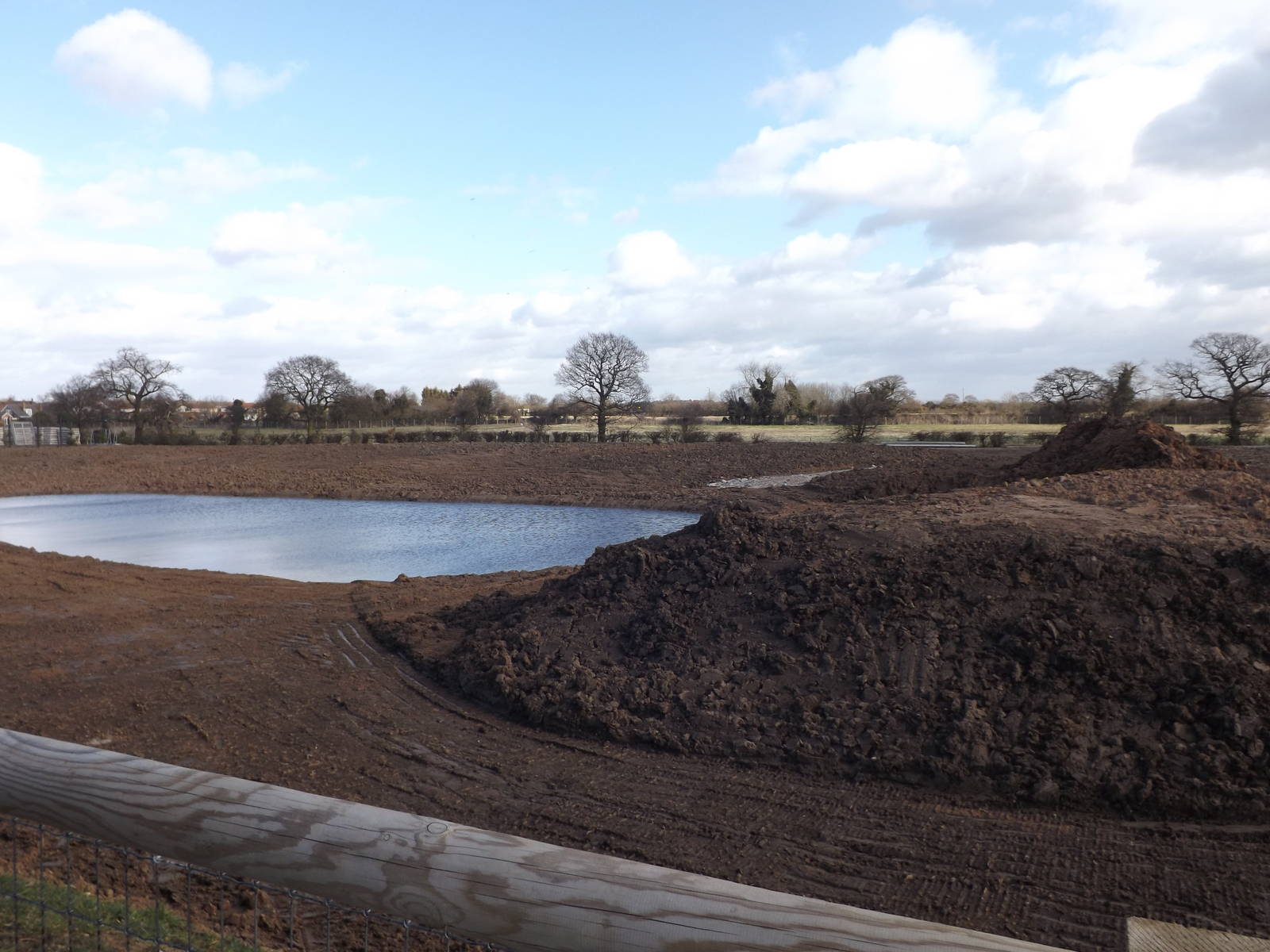 Polar Bear Enclosure 3 - 1st March 2015