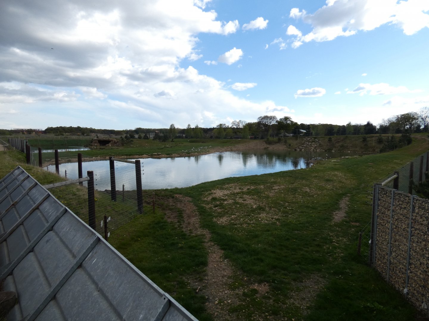 Polar bear enclosure (3)