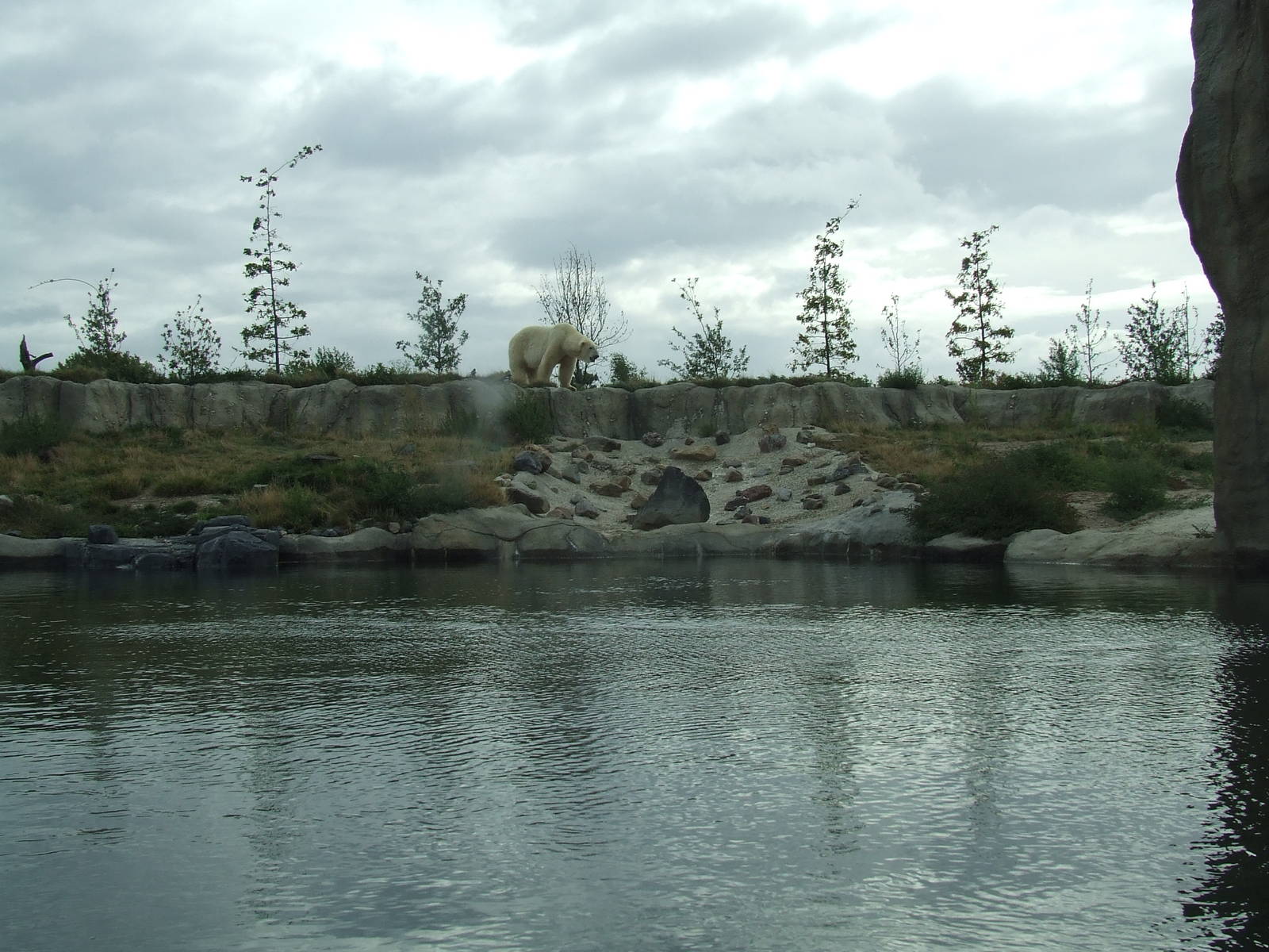 Polar Bear enclosure, Arctica