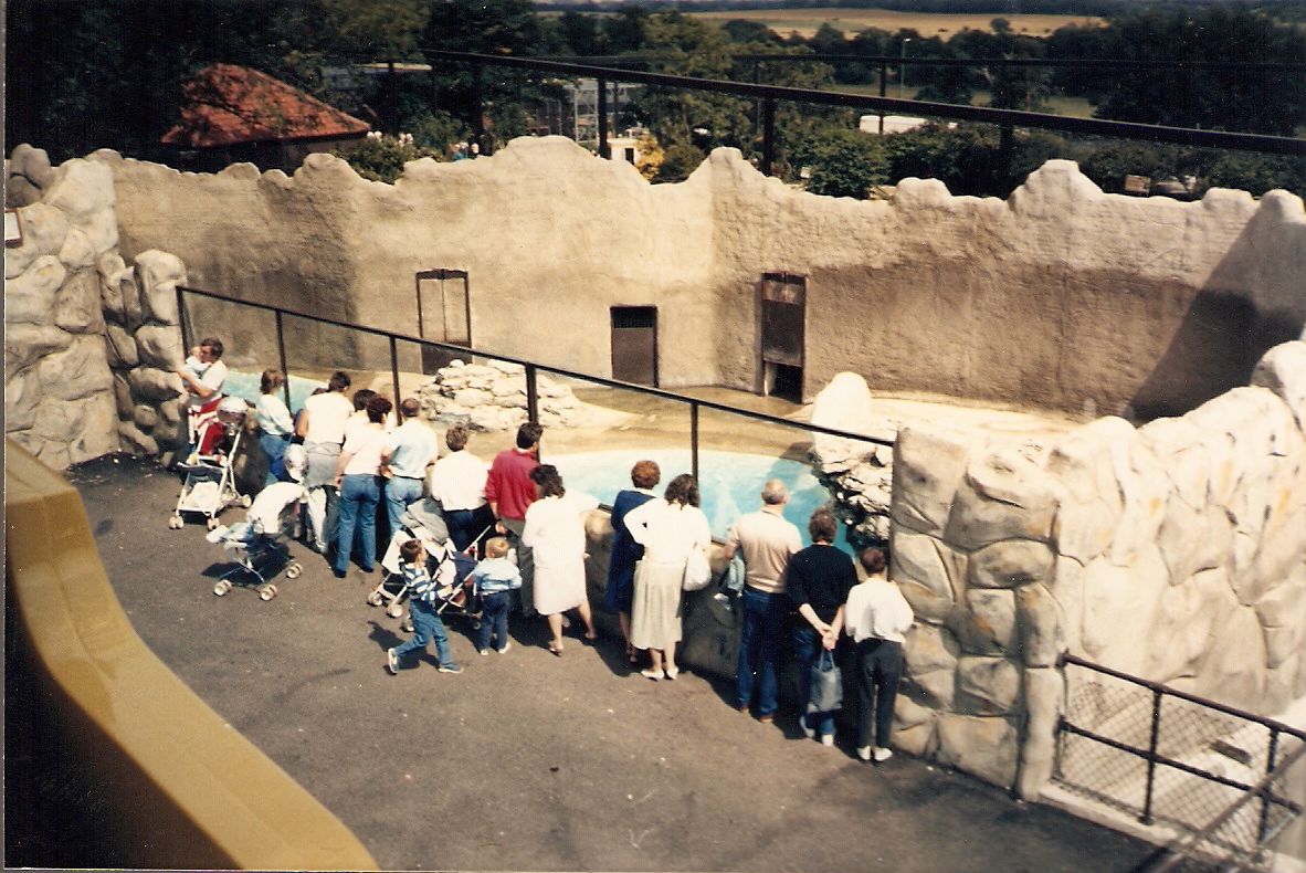 Polar Bear enclosure at Chessington Zoo, 23 August 1987