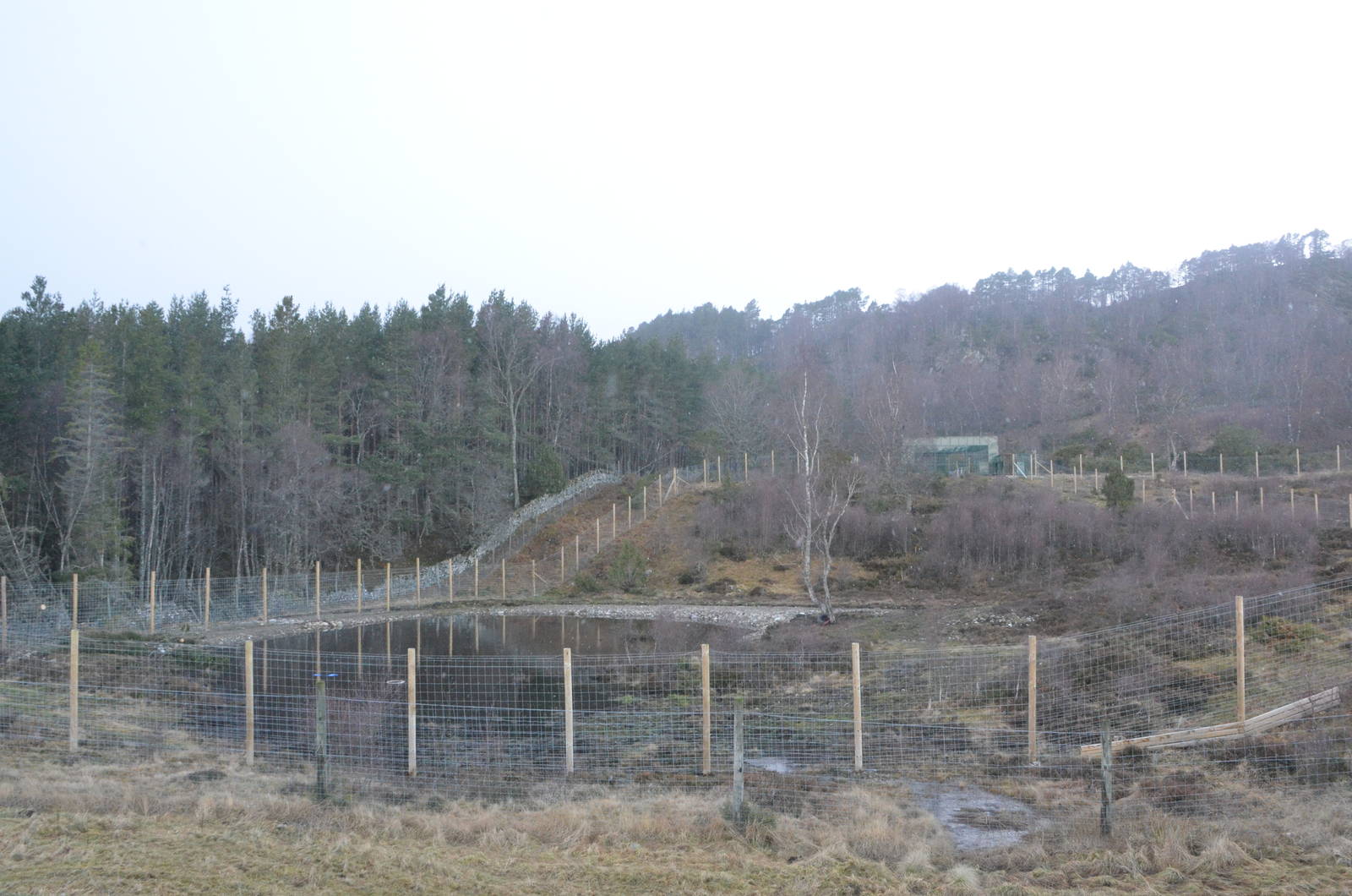 Polar Bear Enclosure at Highland WP, 10/02/16