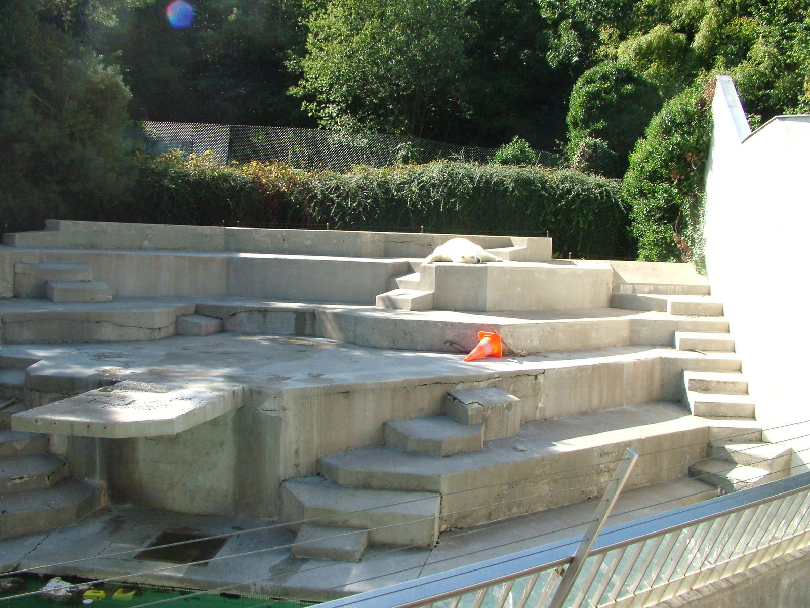 Polar Bear enclosure at Mulhouse 29/08/09