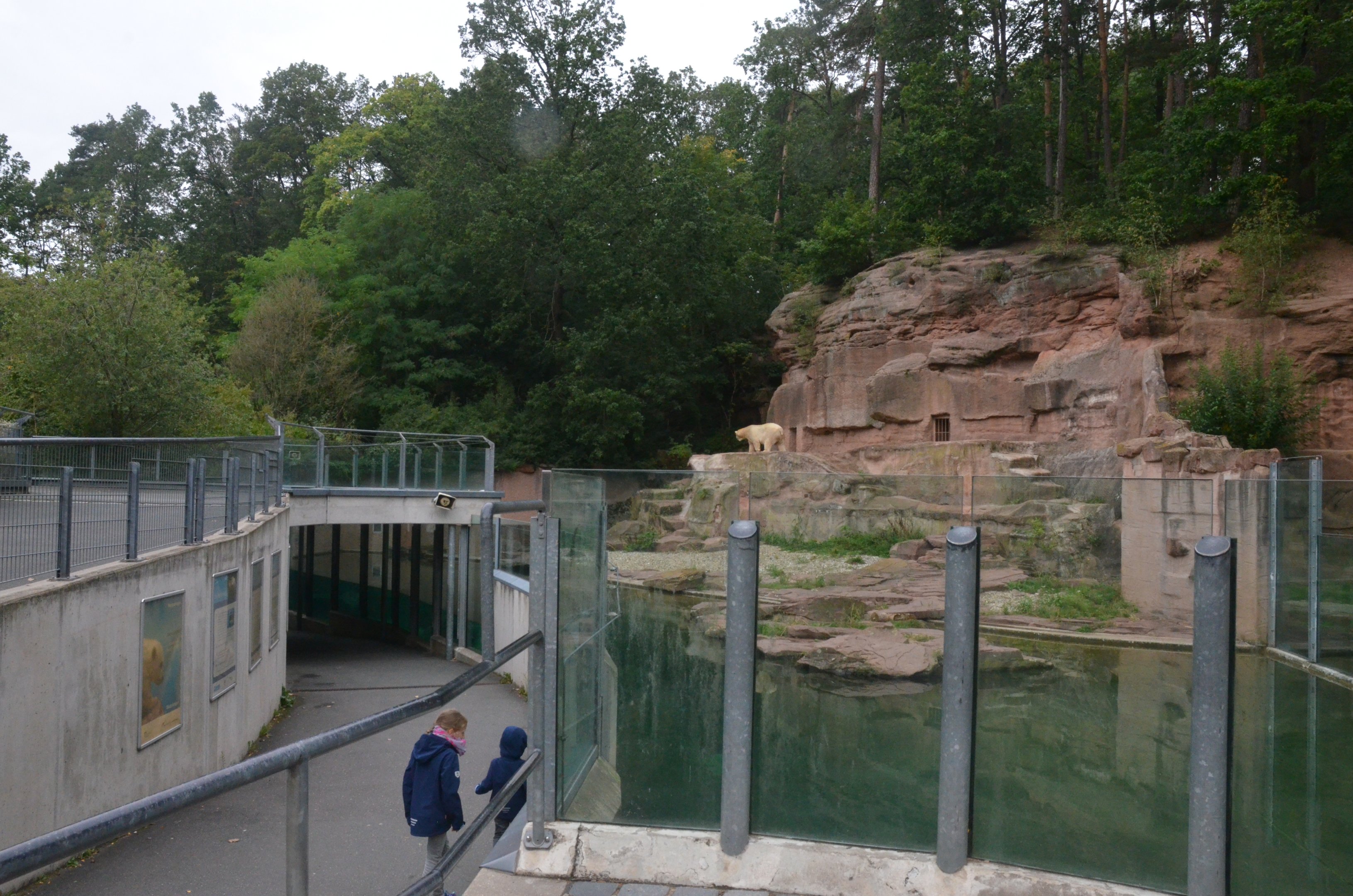 Polar Bear Enclosure at Nuremberg, 08/09/19