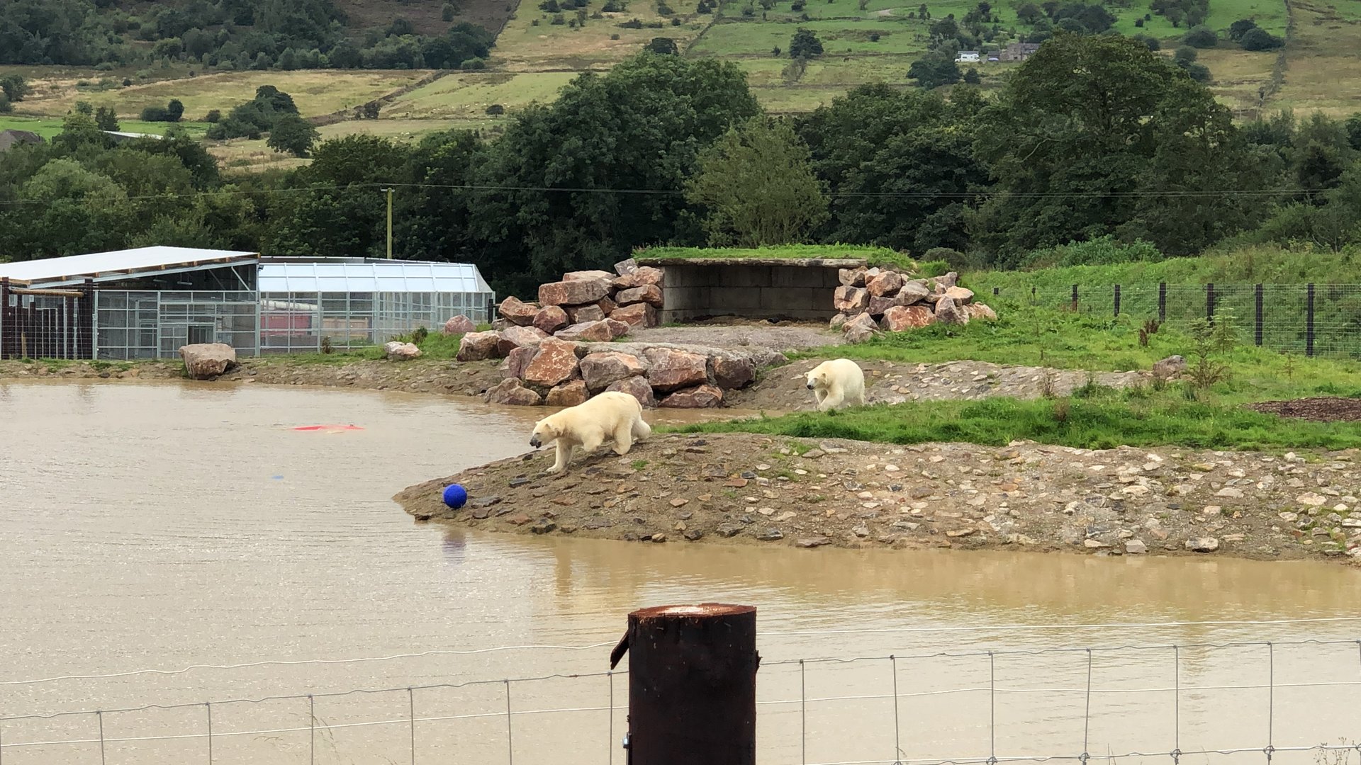 Polar Bear Enclosure at Peak Wildlife Park (August 2023)