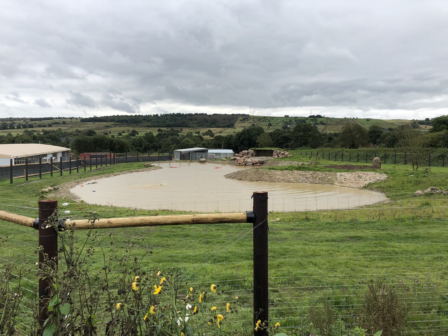 Polar Bear Enclosure at Peak Wildlife Park (August 2023)