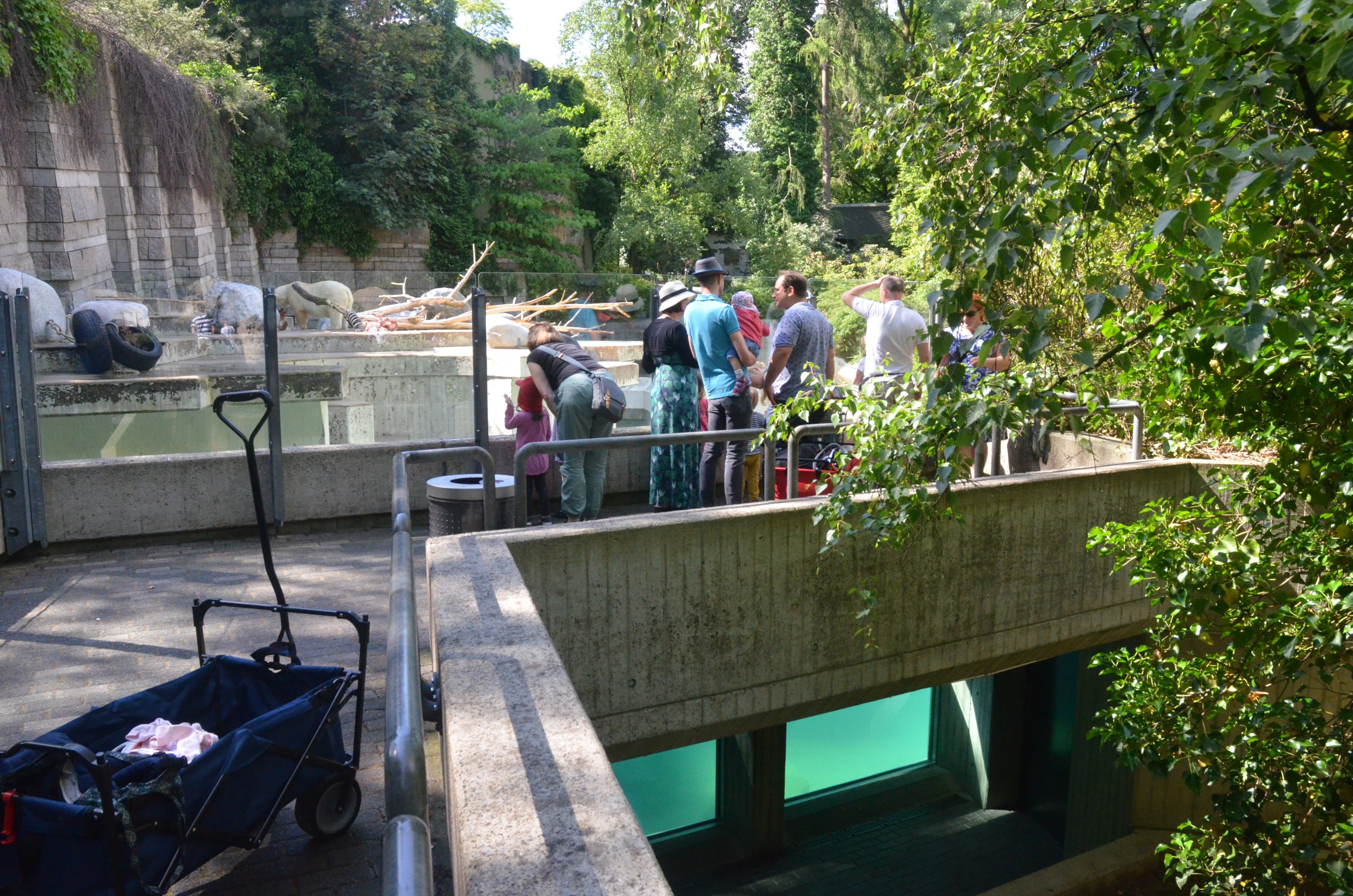 Polar Bear Enclosure at Wuppertal, 16/06/19