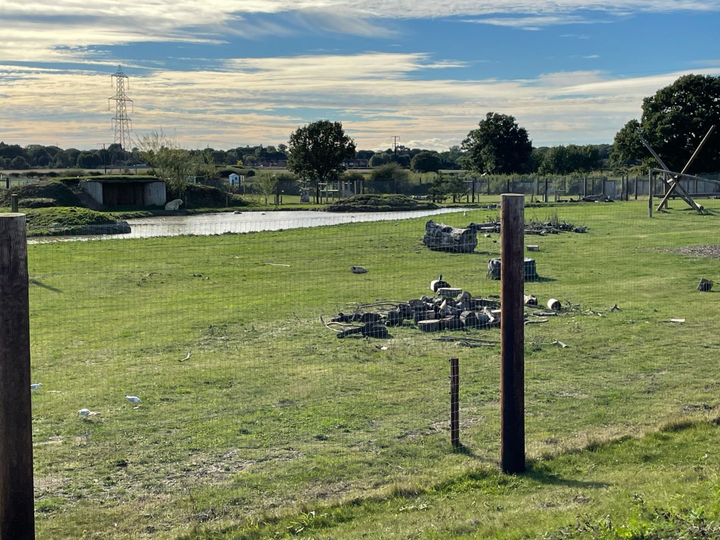 Polar Bear Enclosure at Yorkshire Wildlife Park (October 2021)