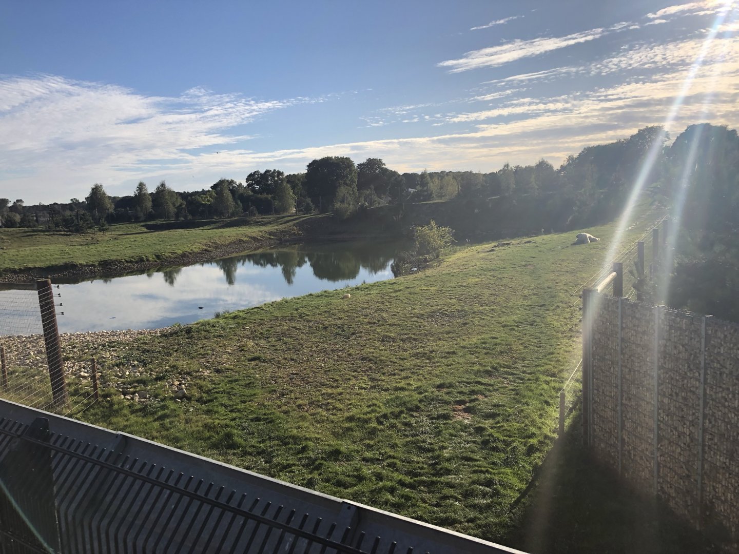 Polar Bear Enclosure at Yorkshire Wildlife Park (October 2021)