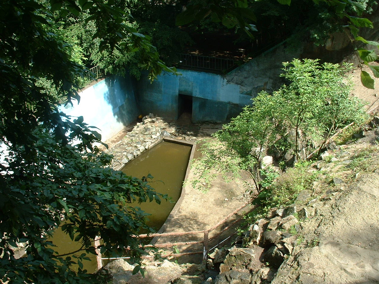Polar Bear Enclosure - Brno Zoo, July 2013