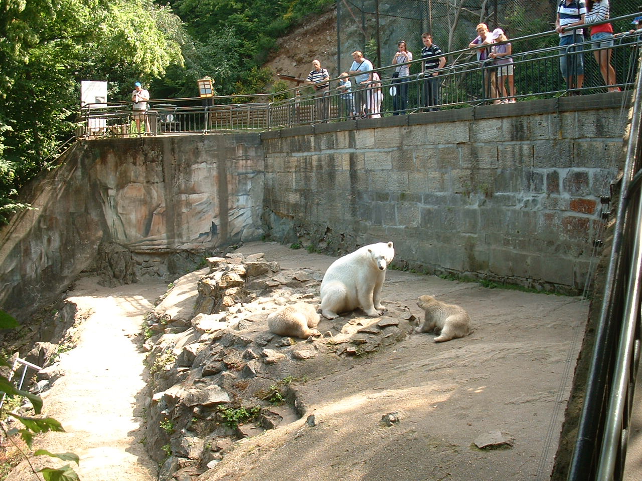 Polar Bear Enclosure - Brno Zoo, July 2013