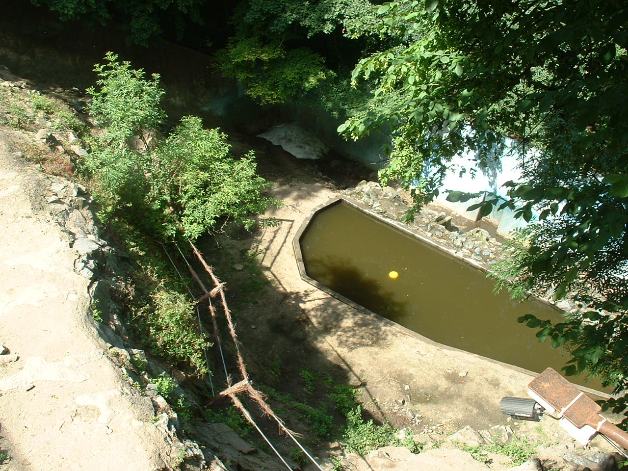 Polar Bear Enclosure - Brno Zoo, July 2013