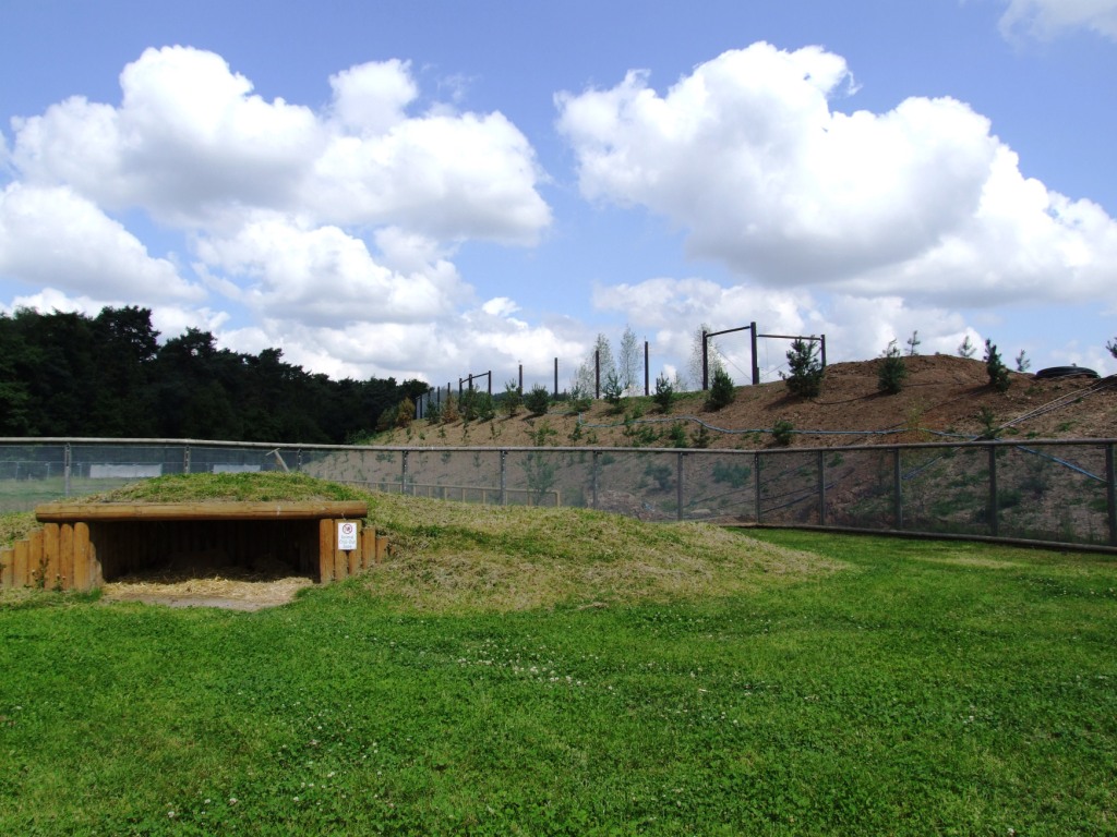 Polar Bear Enclosure Construction at Yorkshire WP, 21/06/14