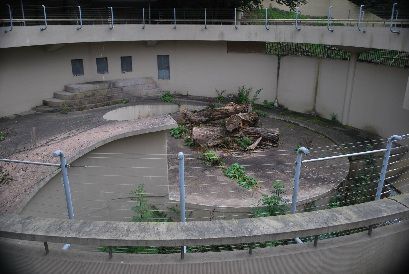 Polar Bear enclosure date 14 09 09