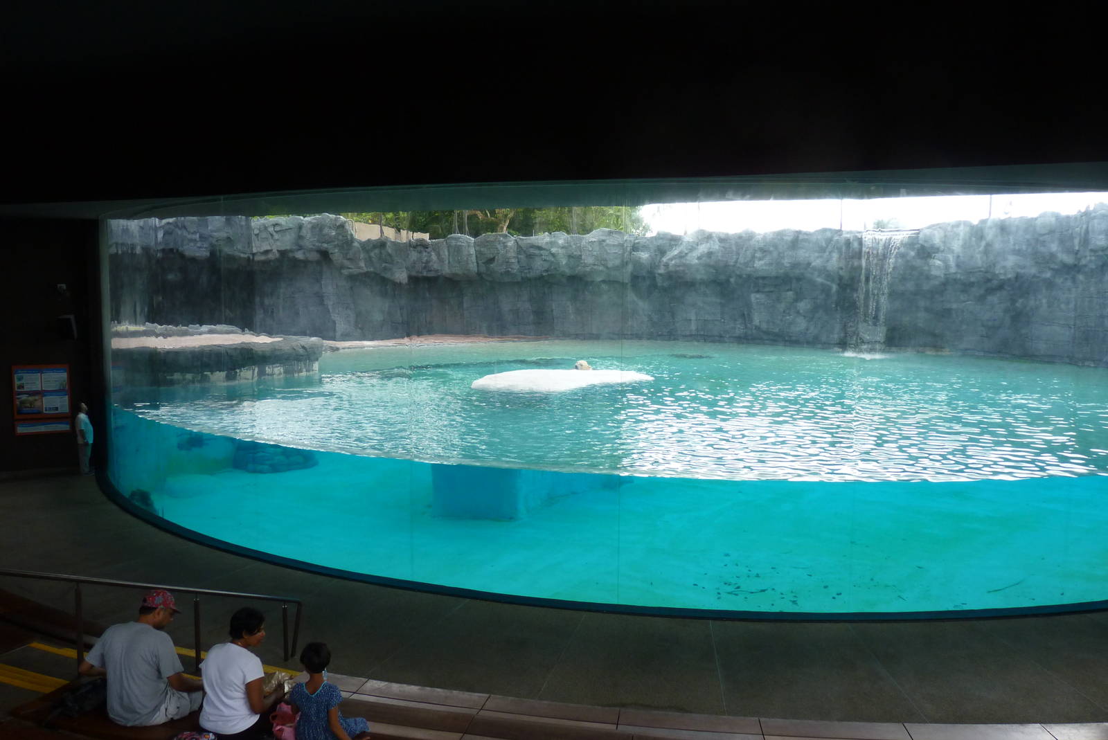 Polar Bear enclosure, December 2015